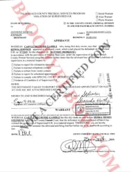 Official Police Affidavit courtesy of BloodyElbow.com